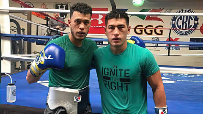 Эдди Хирн сообщил, что обсуждает поединок между Дмитрием Биволом и Дэвидом Бенавидесом